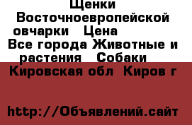 Щенки Восточноевропейской овчарки › Цена ­ 25 000 - Все города Животные и растения » Собаки   . Кировская обл.,Киров г.